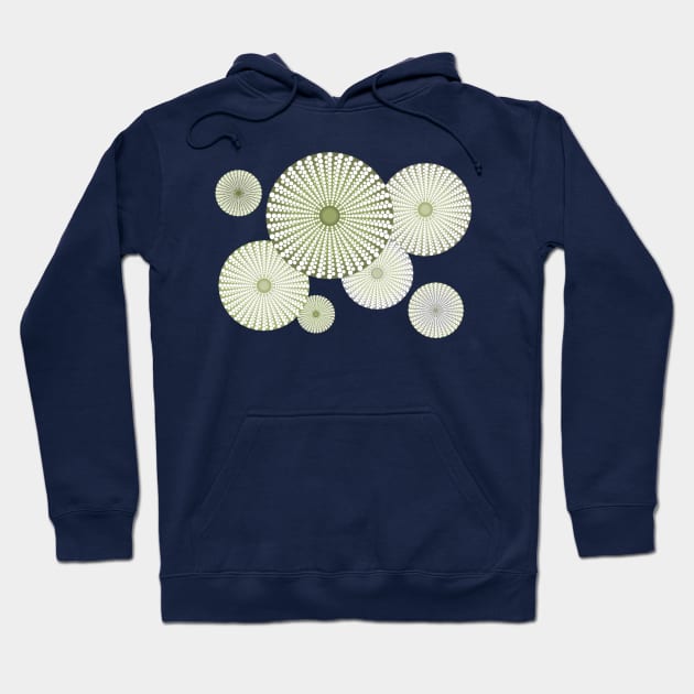 Sea Urchin | Kina | Abstract | Patterns in Nature | Sea Shells | Seashells | Sage Green | Hoodie by Eclectic At Heart